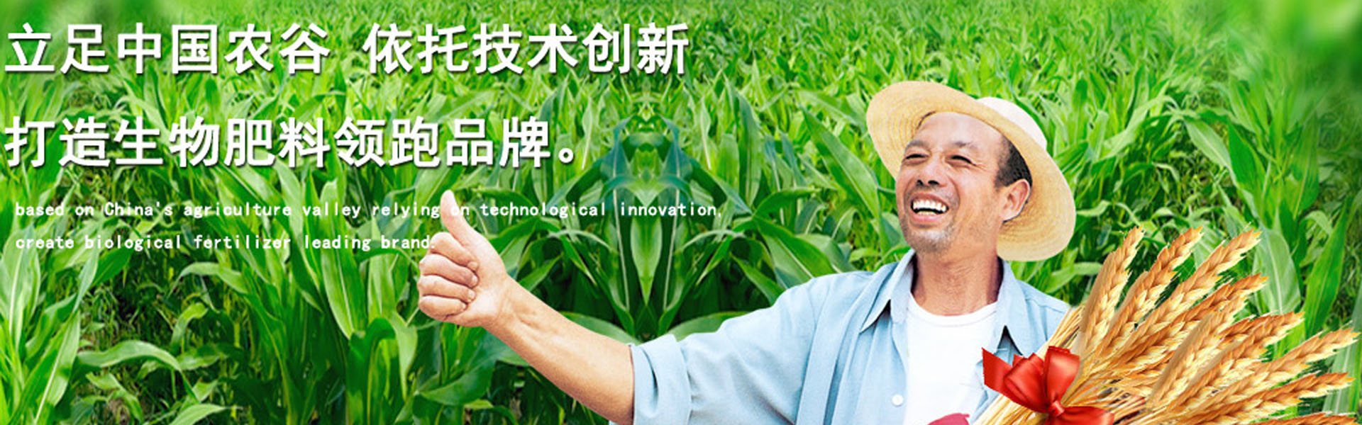 该浏览器不支持
