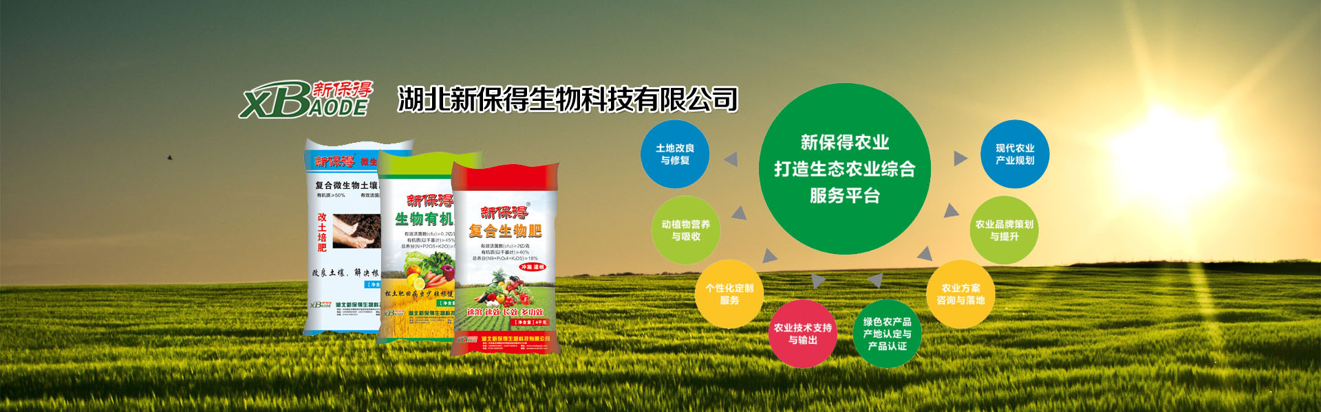 该浏览器不支持
